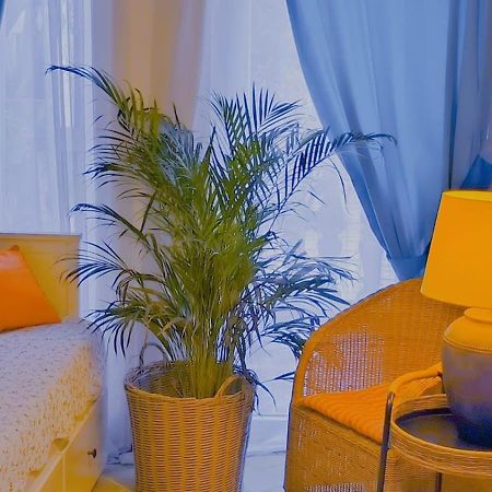 Apartament - Lisa 부드바 외부 사진